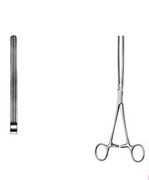 Stomach, Intestines, Rectum