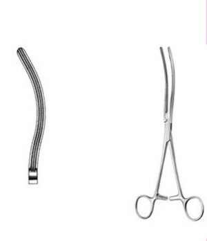 Stomach, Intestines, Rectum