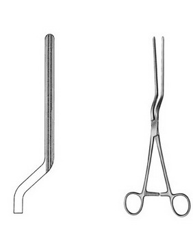 Stomach, Intestines, Rectum