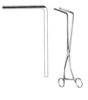 Stomach, Intestines, Rectum