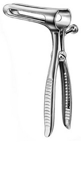 Stomach, Intestines, Rectum