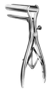 Stomach, Intestines, Rectum