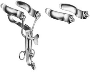 Stomach, Intestines, Rectum