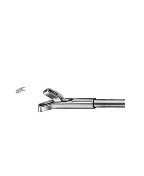 Stomach, Intestines, Rectum