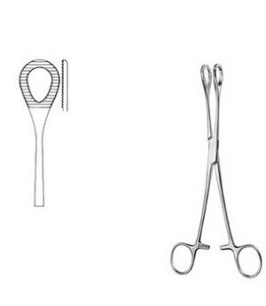 Stomach, Intestines, Rectum