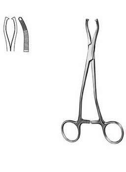 Oral Maxillo-Facial Surgery