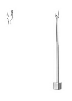 Oral Maxillo-Facial Surgery