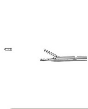 Laryngo-Bronchoscopy