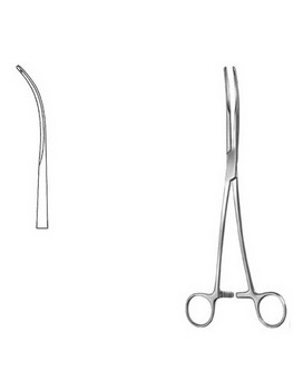 Cardiovascular Surgery