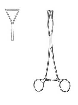 Cardiovascular Surgery