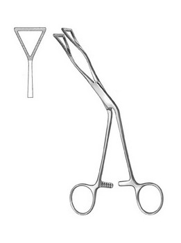 Cardiovascular Surgery