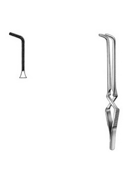 Cardiovascular Surgery