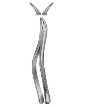 Tooth Extracting Forceps